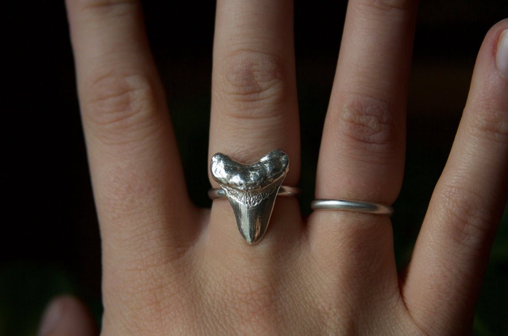 Megalodon Shark Tooth Sterling Silver Ring | Lost World Creative