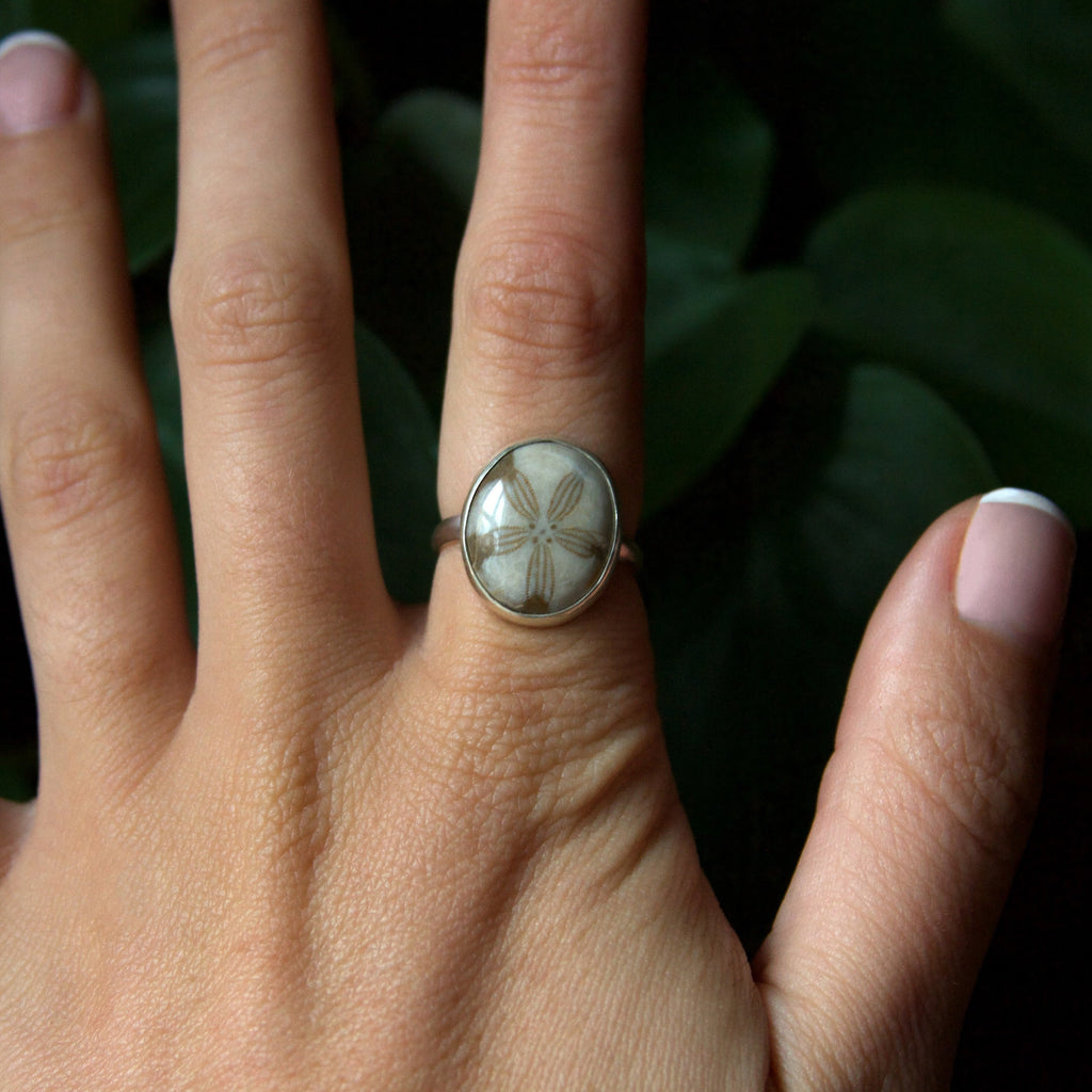 Fossilized Sand Dollar Sterling Silver Ring