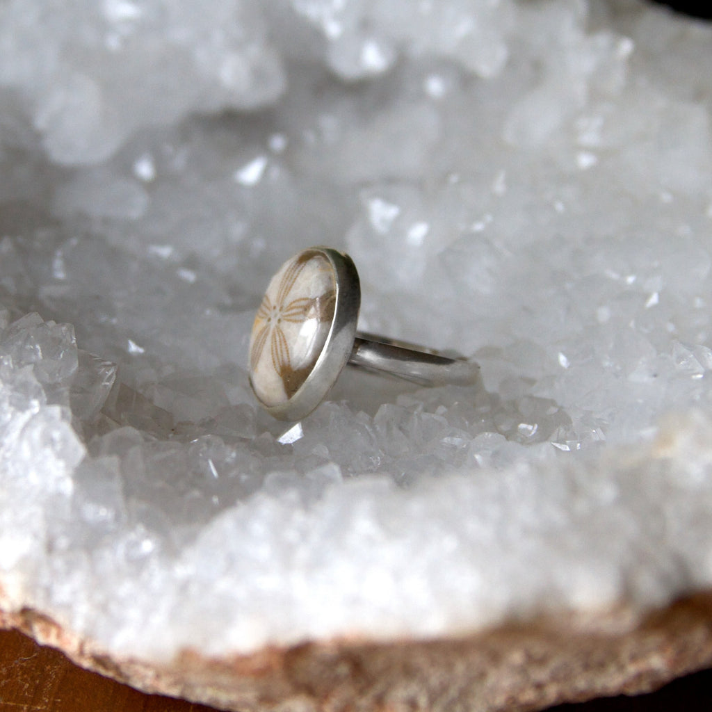 Fossilized Sand Dollar Sterling Silver Ring