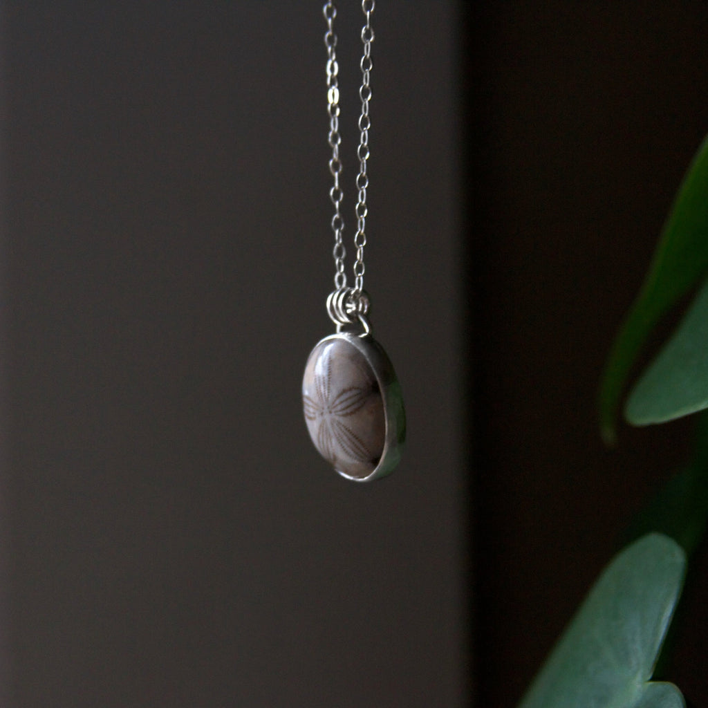 Fossilized Sand Dollar Sterling Silver Necklace