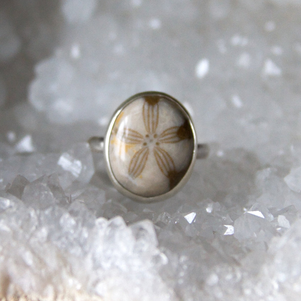 Fossilized Sand Dollar Sterling Silver Ring