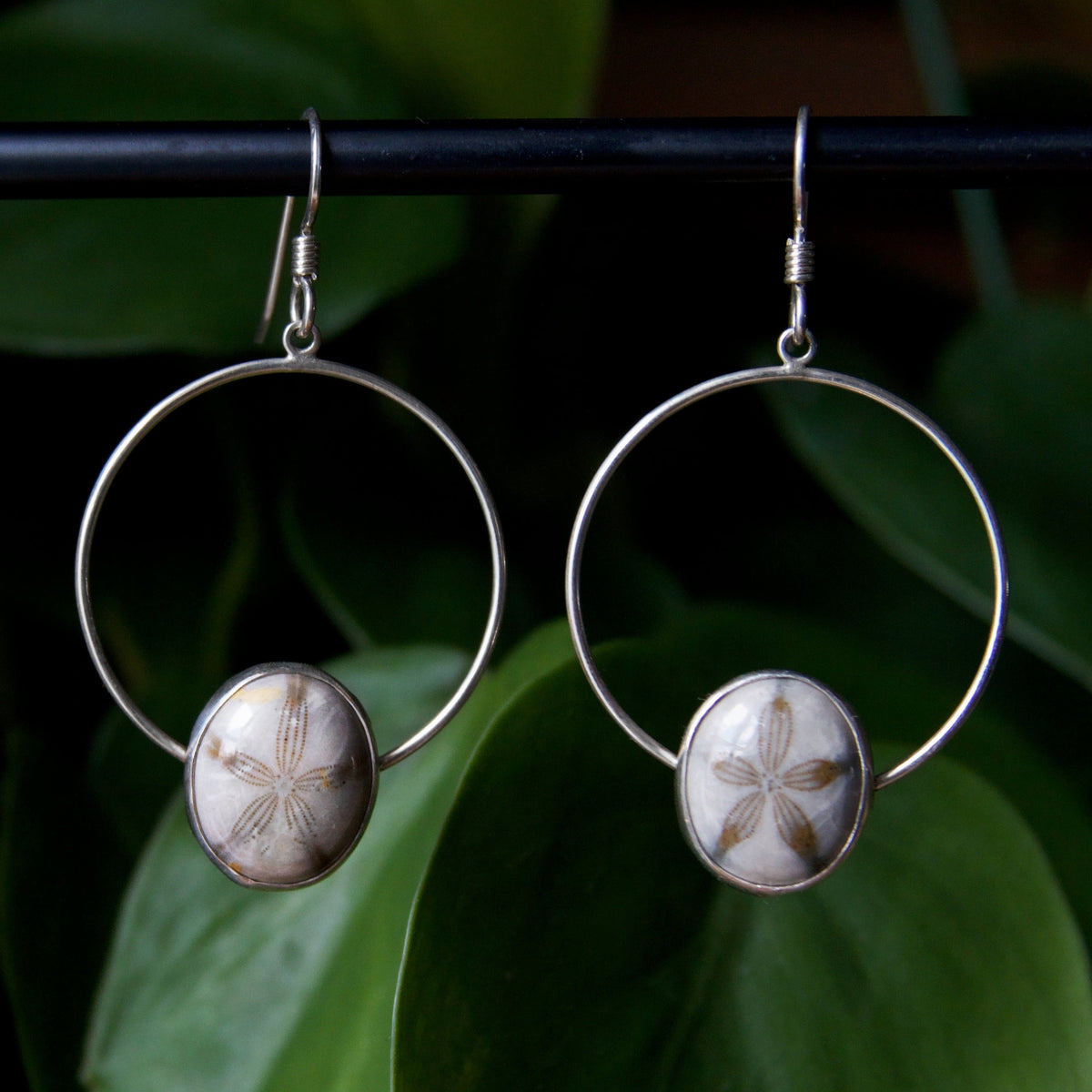 Sand dollar earrings on sale sterling silver