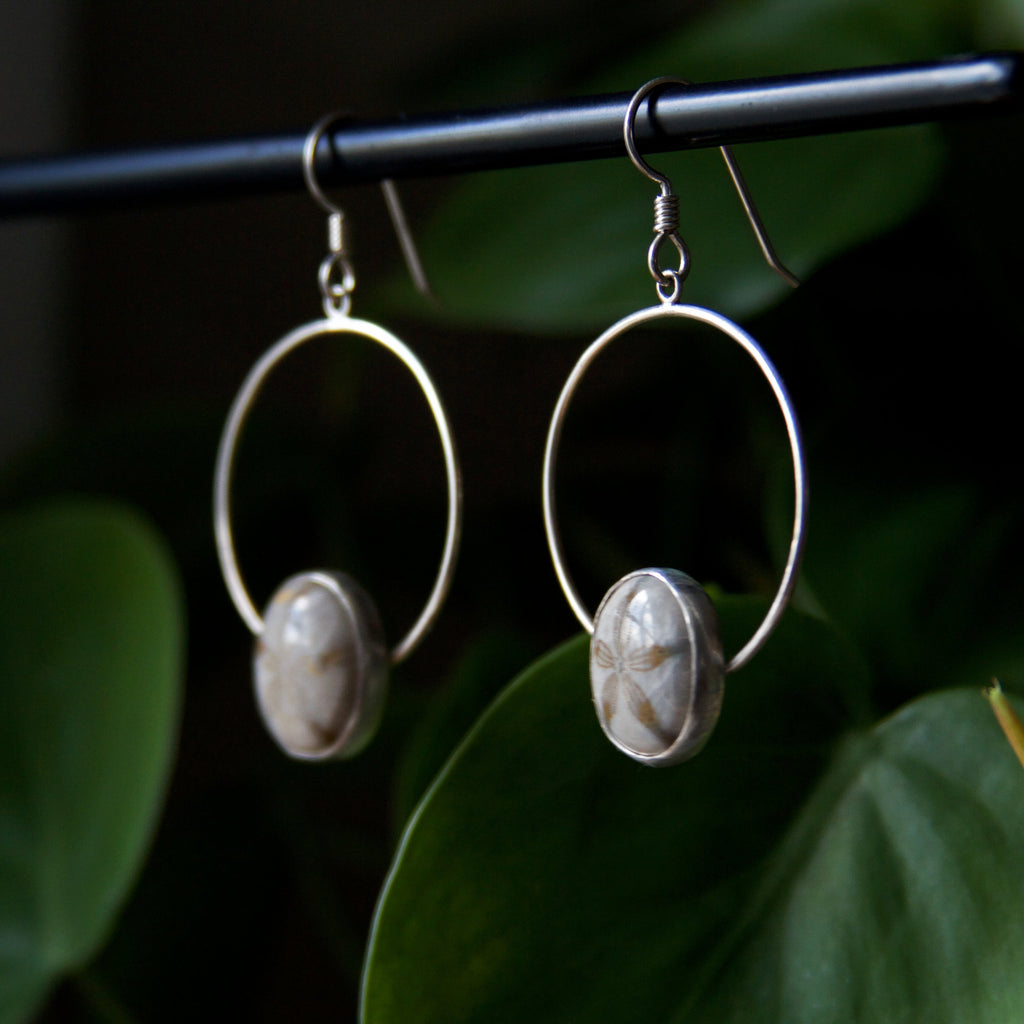 Fossilized Sand Dollar Sterling Silver Hoop Earrings