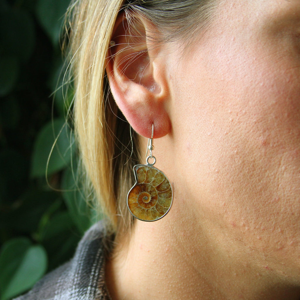 Ammonite Spiral Shell Sterling Silver Earrings