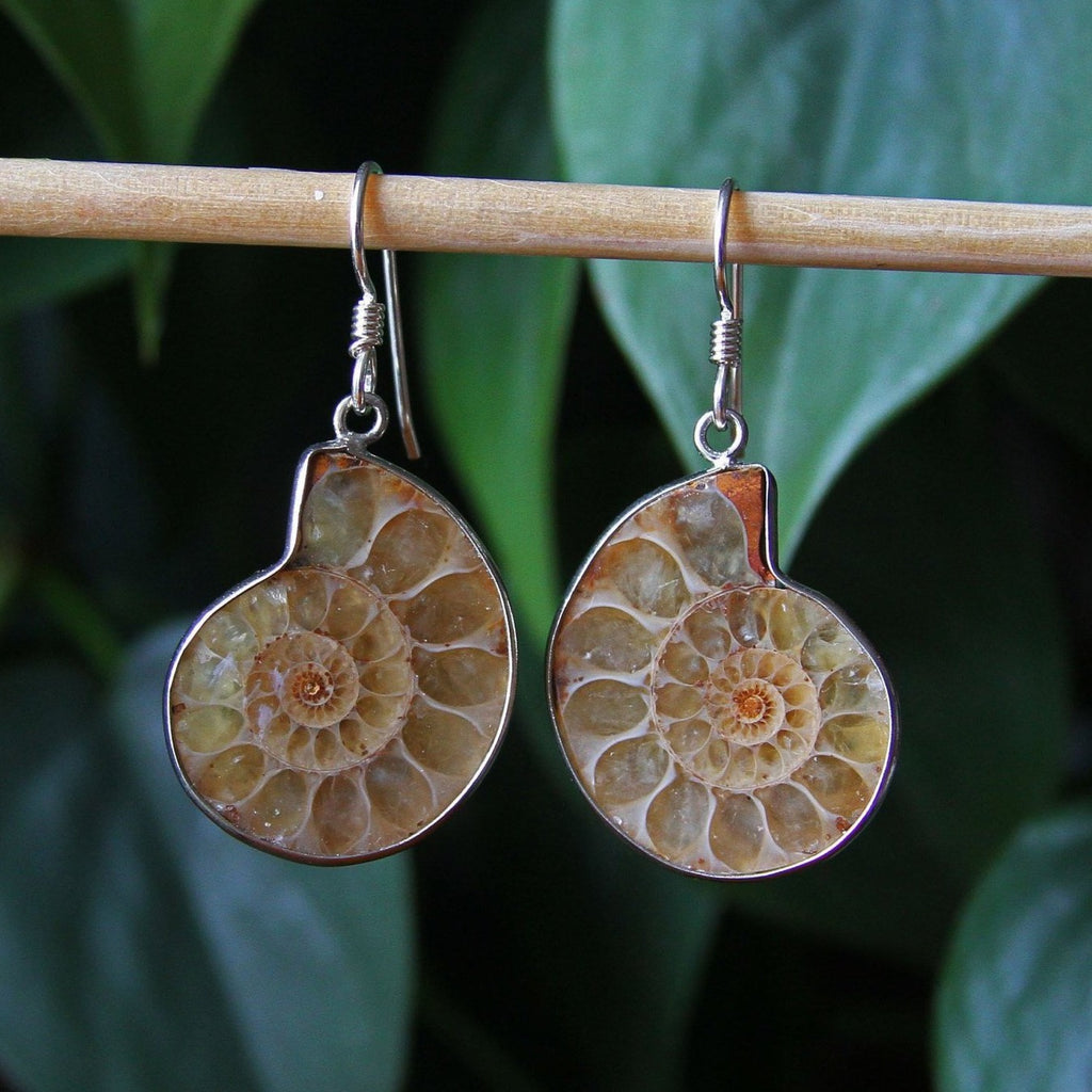 Ammonite Spiral Shell Sterling Silver Earrings