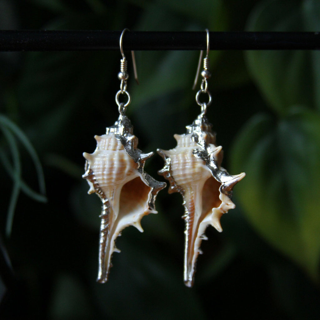 Decorative Seashell Sterling Silver Earrings