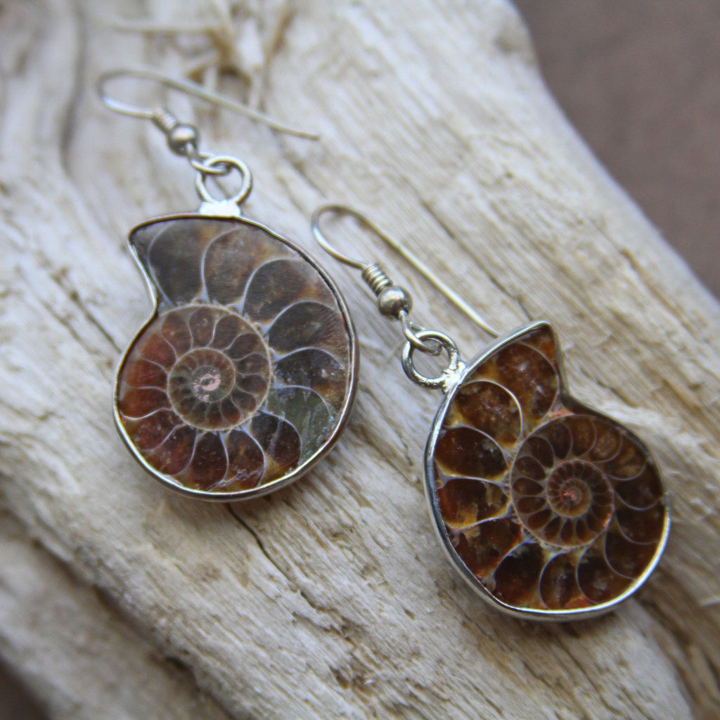 Ammonite Spiral Shell Sterling Silver Earrings