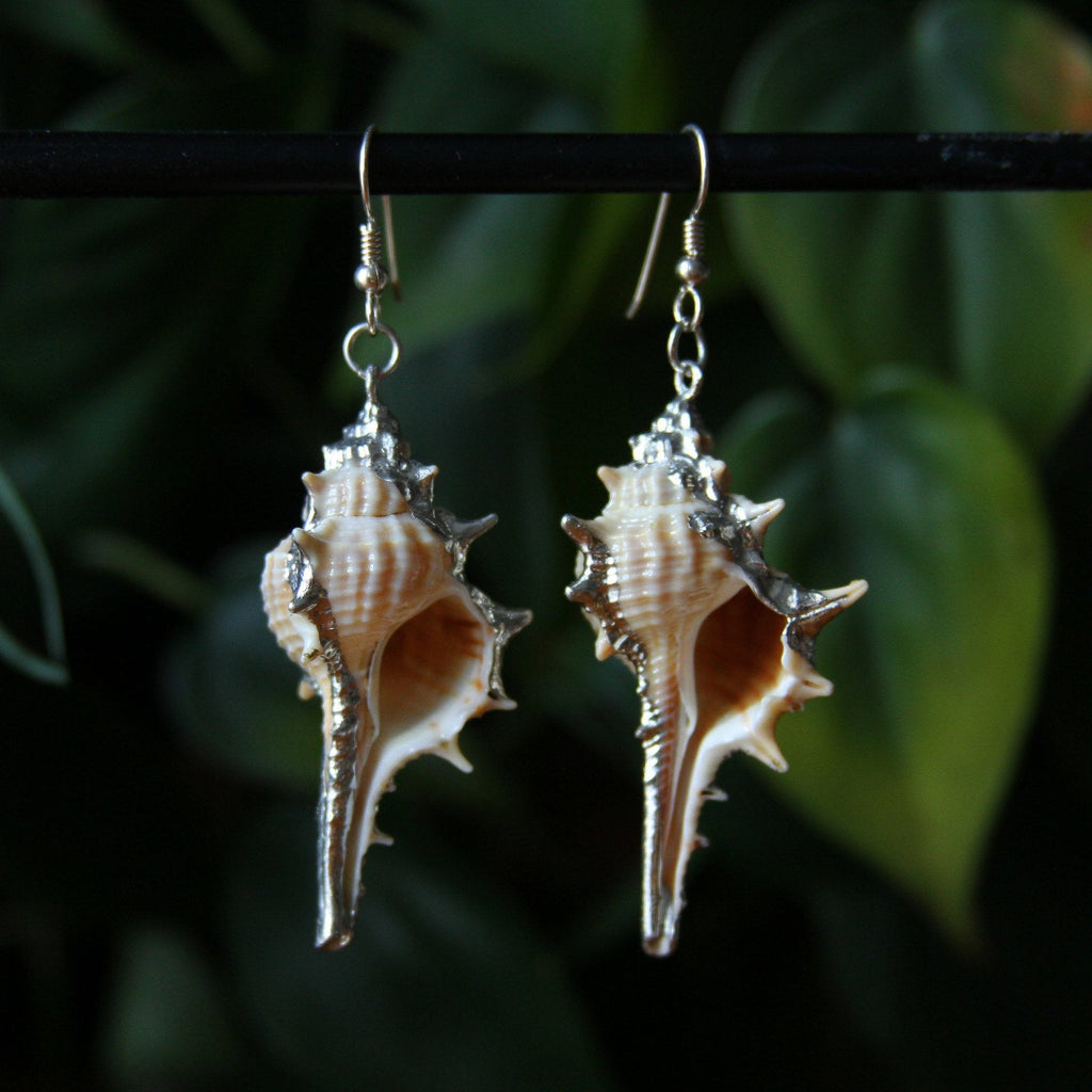 Decorative Seashell Sterling Silver Earrings