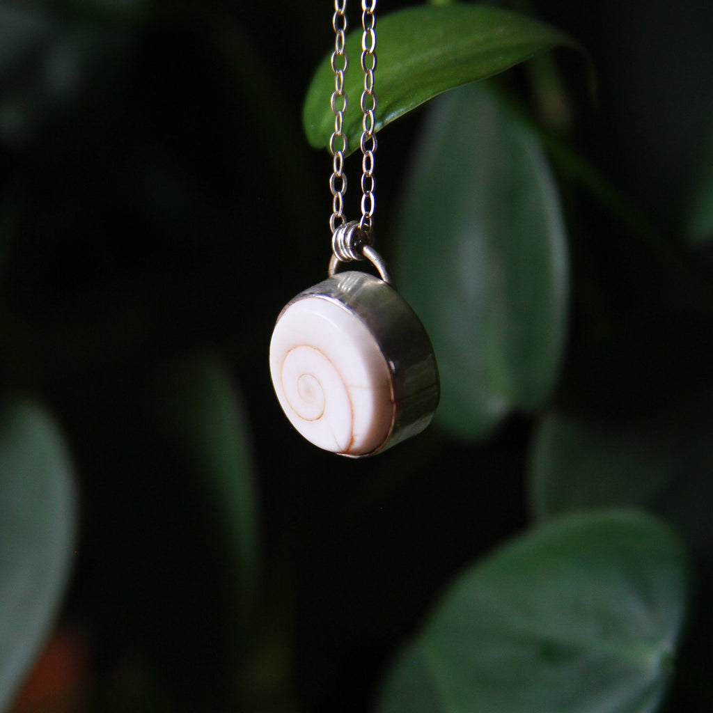 Shiva Shell Sterling Silver Necklace